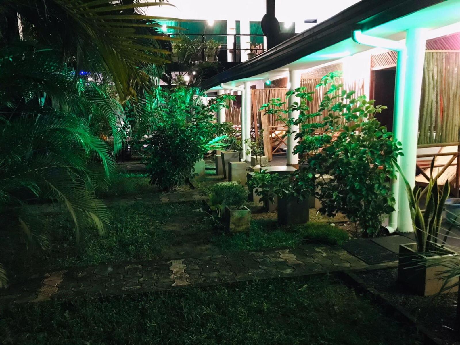 Lion Paradise Surf Beach Matara Exterior foto