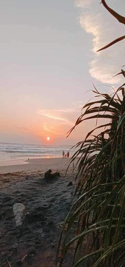 Lion Paradise Surf Beach Matara Exterior foto