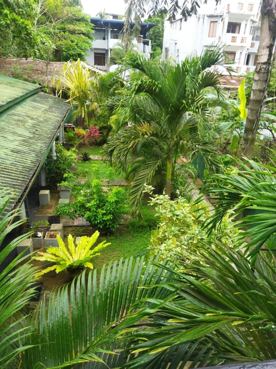 Lion Paradise Surf Beach Matara Exterior foto