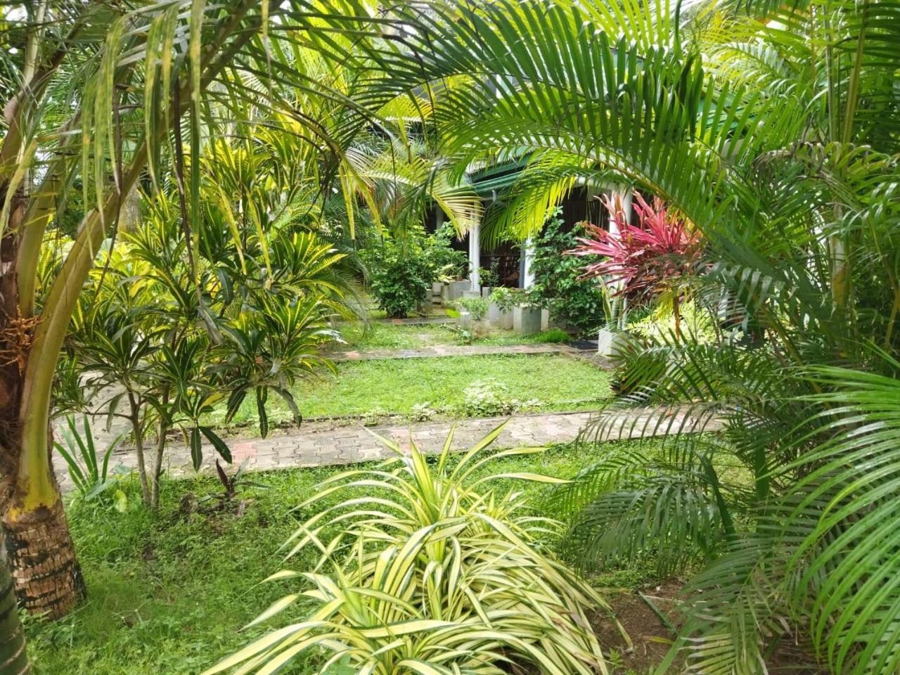 Lion Paradise Surf Beach Matara Exterior foto