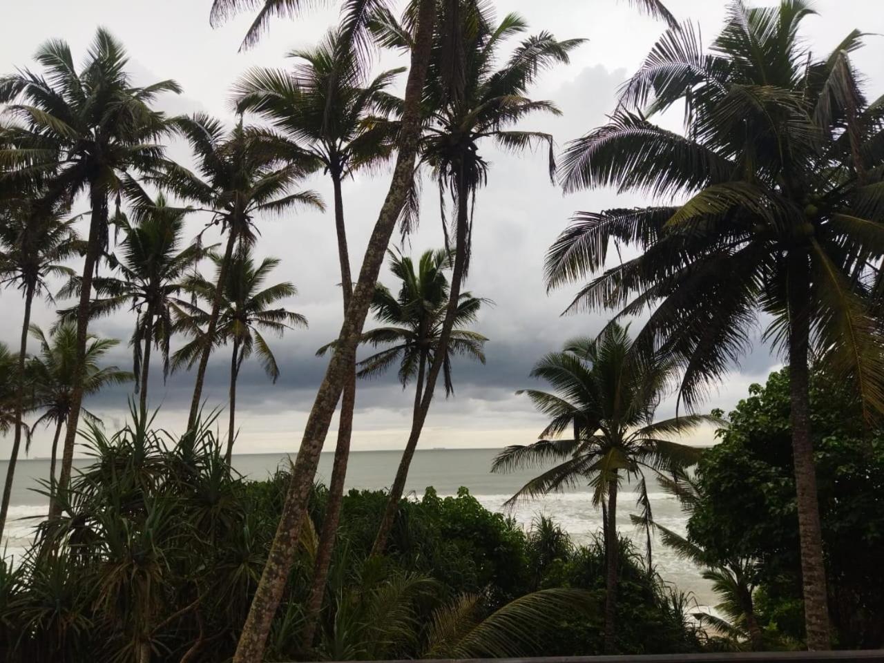 Lion Paradise Surf Beach Matara Exterior foto