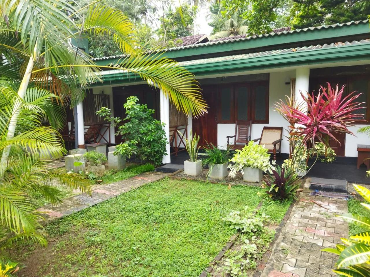 Lion Paradise Surf Beach Matara Exterior foto