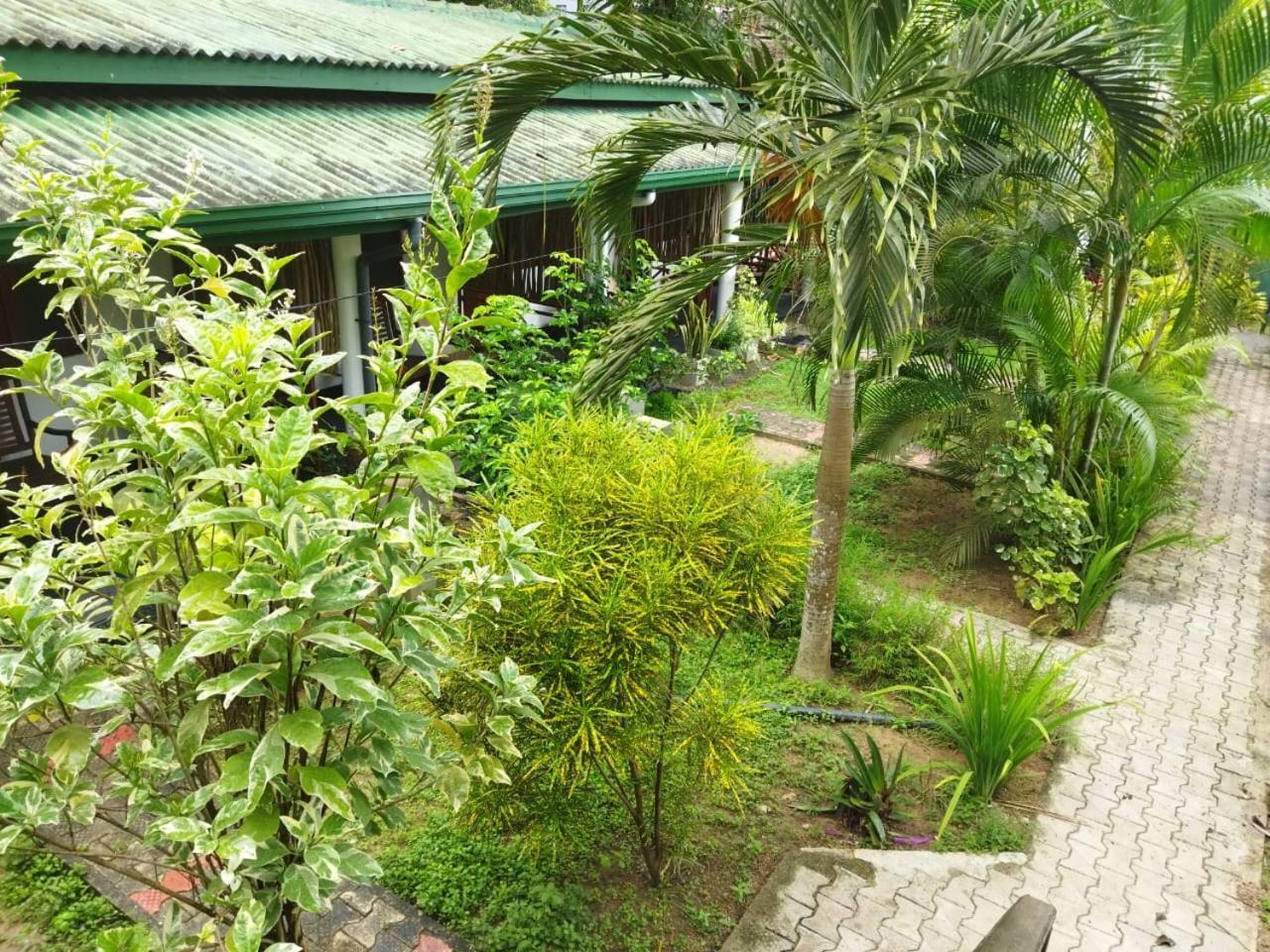 Lion Paradise Surf Beach Matara Exterior foto